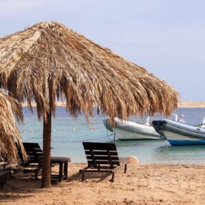 Sharm el Naga coral garden