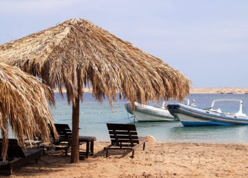 Sharm el Naga coral garden