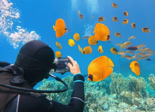 DIVING MARSA ALAM