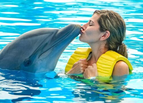 DELFINARIUM – DOLPHIN WORLD