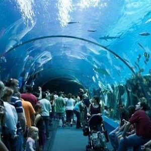 GRAND AQUARIUM