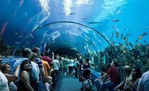 GRAND AQUARIUM